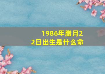 1986年腊月22日出生是什么命