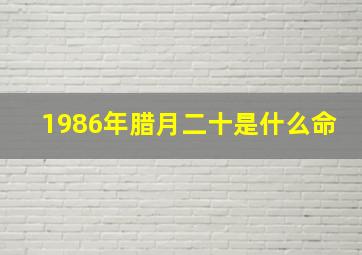 1986年腊月二十是什么命