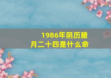 1986年阴历腊月二十四是什么命