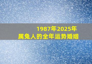 1987年2025年属兔人的全年运势婚姻