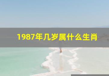 1987年几岁属什么生肖