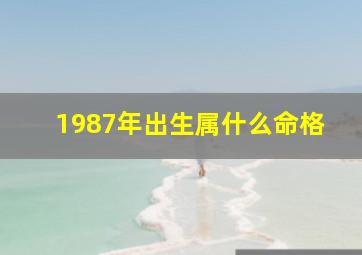 1987年出生属什么命格