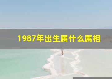 1987年出生属什么属相