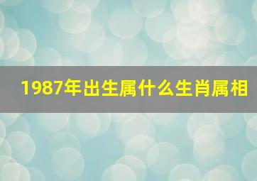 1987年出生属什么生肖属相