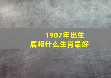 1987年出生属相什么生肖最好