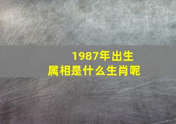 1987年出生属相是什么生肖呢