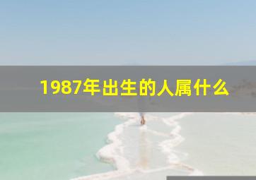 1987年出生的人属什么