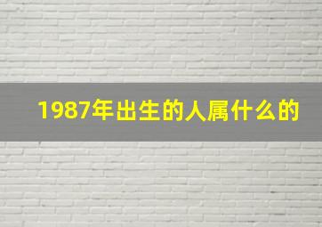 1987年出生的人属什么的