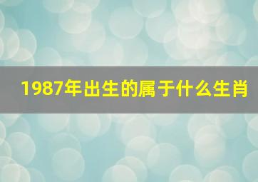 1987年出生的属于什么生肖