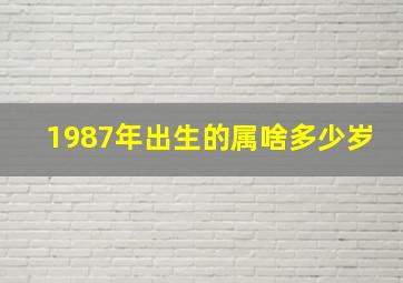 1987年出生的属啥多少岁