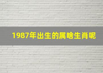 1987年出生的属啥生肖呢