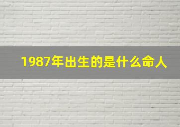 1987年出生的是什么命人