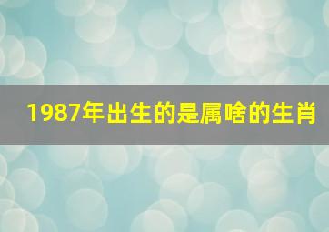 1987年出生的是属啥的生肖