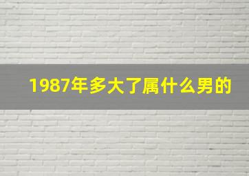 1987年多大了属什么男的