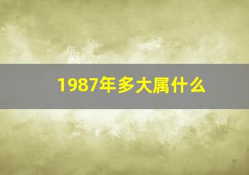 1987年多大属什么