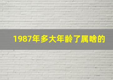 1987年多大年龄了属啥的