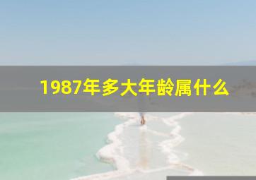 1987年多大年龄属什么