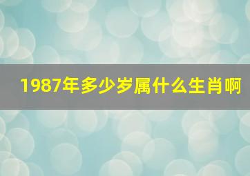 1987年多少岁属什么生肖啊