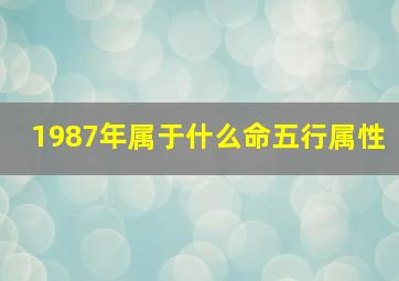 1987年属于什么命五行属性