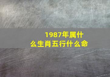 1987年属什么生肖五行什么命