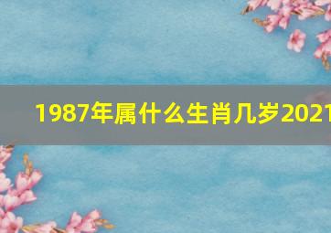 1987年属什么生肖几岁2021