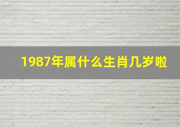 1987年属什么生肖几岁啦