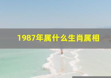 1987年属什么生肖属相