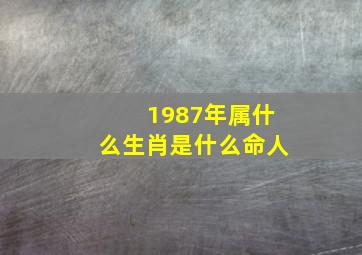 1987年属什么生肖是什么命人