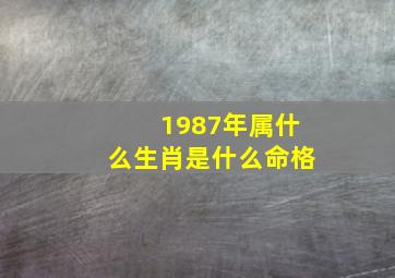 1987年属什么生肖是什么命格