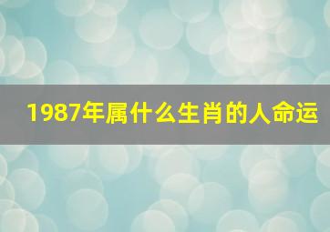 1987年属什么生肖的人命运