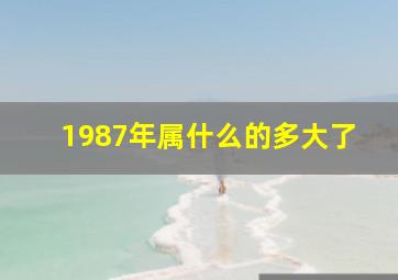 1987年属什么的多大了