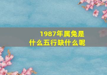 1987年属兔是什么五行缺什么呢