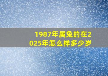 1987年属兔的在2025年怎么样多少岁