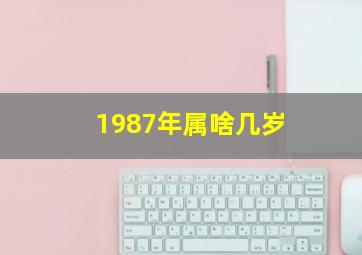 1987年属啥几岁