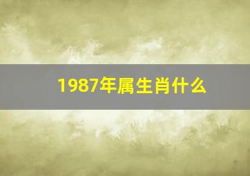 1987年属生肖什么