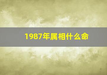 1987年属相什么命