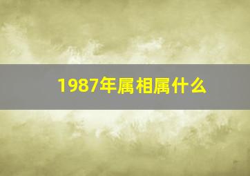 1987年属相属什么