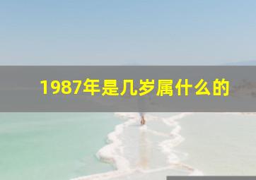 1987年是几岁属什么的