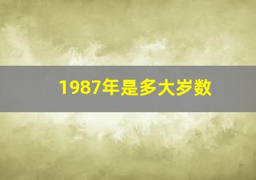 1987年是多大岁数