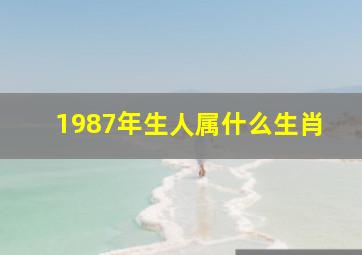 1987年生人属什么生肖