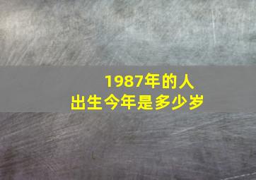 1987年的人出生今年是多少岁