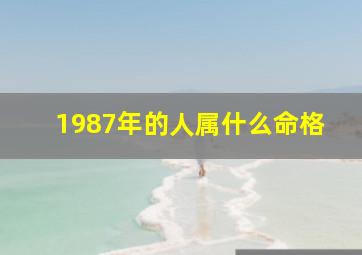 1987年的人属什么命格