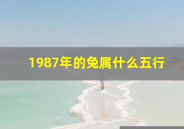 1987年的兔属什么五行