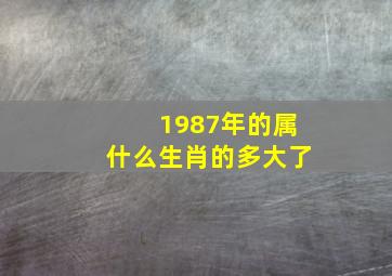 1987年的属什么生肖的多大了