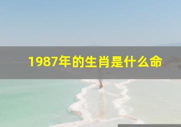 1987年的生肖是什么命