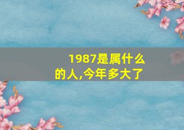 1987是属什么的人,今年多大了