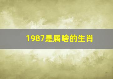 1987是属啥的生肖