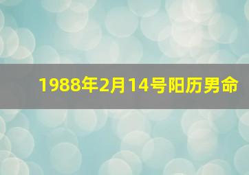 1988年2月14号阳历男命