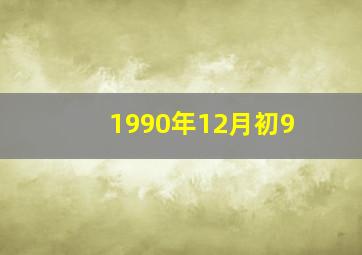 1990年12月初9