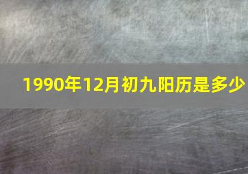 1990年12月初九阳历是多少